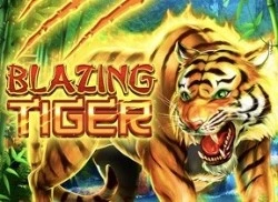BlazingTiger